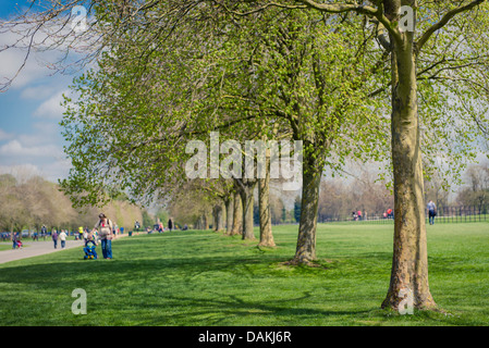 Passanten in den Gärten von Blenheim Palace, Woodstock, Oxfordshire, Vereinigtes Königreich Stockfoto