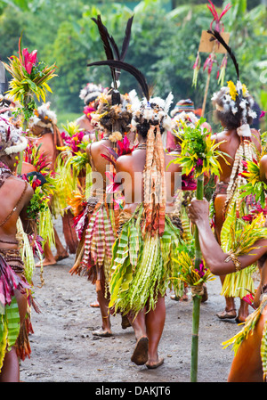 Leute des Stammes Selehoto Alunumuno Stammes Tracht und Tanz, Hochland von Papua-Neu-Guinea Stockfoto