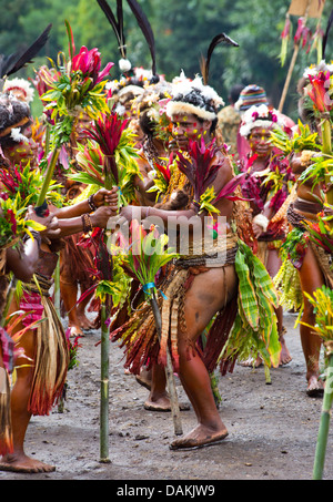 Leute des Stammes Selehoto Alunumuno Stammes Tracht und Tanz, Hochland von Papua-Neu-Guinea Stockfoto