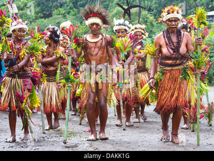 Leute des Stammes Selehoto Alunumuno Stammes Tracht und Tanz, Hochland von Papua-Neu-Guinea Stockfoto