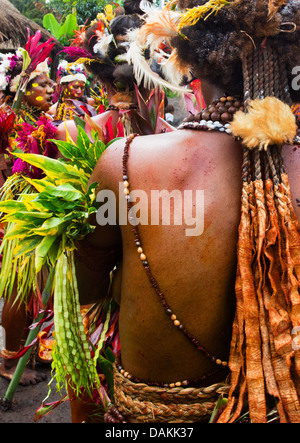 Detail der Tracht getragen vom Stamm Selehoto Alunumuno im Hochland von Papua-Neu-Guinea Stockfoto