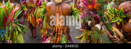 Leute des Stammes Selehoto Alunumuno Stammes Tracht und Tanz, Hochland von Papua-Neu-Guinea Stockfoto