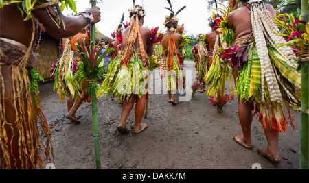 Leute des Stammes Selehoto Alunumuno Stammes Tracht und Tanz, Hochland von Papua-Neu-Guinea Stockfoto