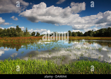 Wolken in einem See von De Gelderse Poort Natur Spiegelung reservieren, Niederlande, Gelderland, De Gelderse Poort, Millingerwaard Stockfoto