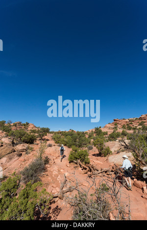 Älteres Ehepaar Wandern entlang des Weges in den Canyonlands National Park, Utah Stockfoto