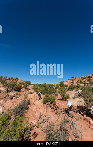 Älteres Ehepaar Wandern entlang des Weges in den Canyonlands National Park, Utah Stockfoto