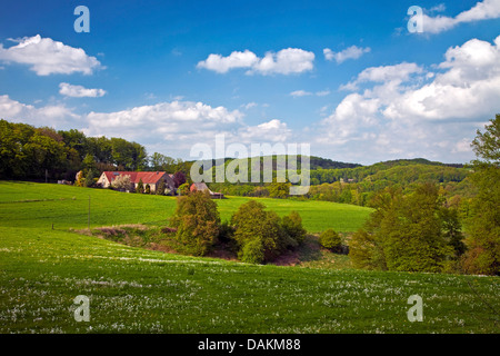 hügeliges Ackerland im Frühjahr, Bauernhaus in Hintergrund, Sprockhoevel, Ruhrgebiet, Nordrhein-Westfalen, Deutschland Stockfoto