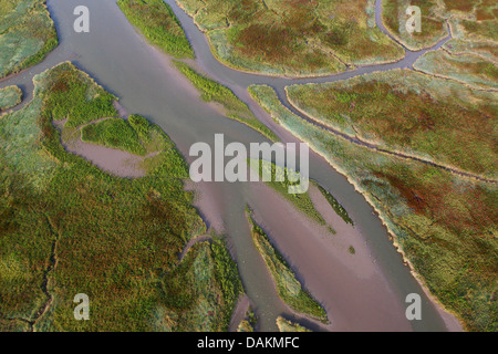 Luftbild an Flut und Salzwiesen, Holland, Zeeuws-Vlaanderen, Verdronken land van Saeftinghe Stockfoto