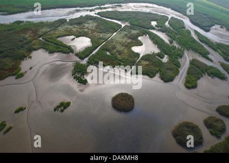 Luftbild an Flut und Salzwiesen, Holland, Zeeuws-Vlaanderen, Verdronken land van Saeftinghe Stockfoto