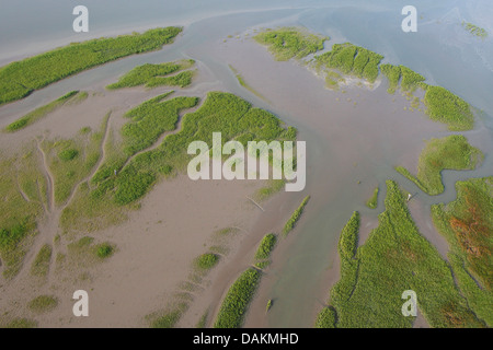 Luftbild an Flut und Salzwiesen, Holland, Zeeuws-Vlaanderen, Verdronken land van Saeftinghe Stockfoto