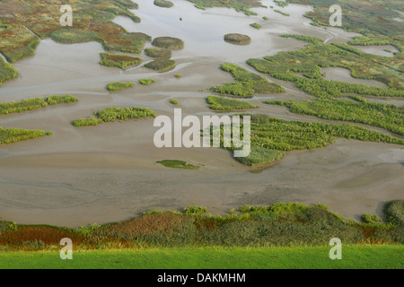 Luftbild an Flut und Salzwiesen, Holland, Zeeuws-Vlaanderen, Verdronken land van Saeftinghe Stockfoto