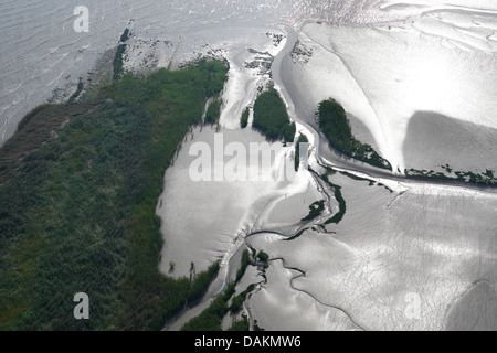 Luftbild, Priel Nordseeküste, Holland, Zeeuws Vlaanderen, Verdronken Land van Saeftinghe Stockfoto