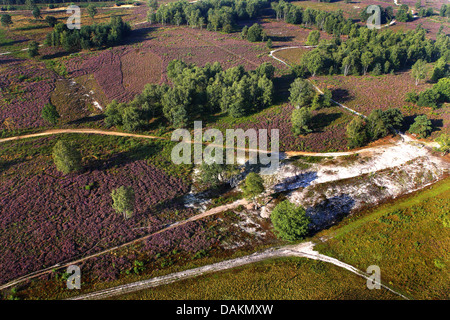 Luftbild, Heide, Belgien, Limburg, Nationalpark Hoge ...