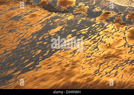 Luftbild, Nordseeküste, Niederlande, Texel Stockfoto