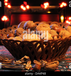 Korb mit Walnüsse und Haselnüsse mit roten Lichtern auf der Rückseite. Stockfoto