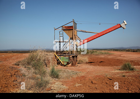 Kanincheneule (Athene Cunicularia), sitzt auf einem landwirtschaftlichen Gerüst und Fixierung auf eine Anakonda, Brasilien, Mato Grosso do Sul Stockfoto