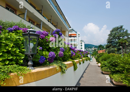 Schweiz, Tessin, Ascona, Hotel Eden Roc Stockfoto