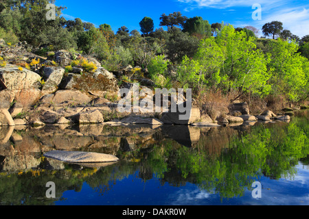 Rio-J Ndula in Sierra de und jar, Naturpark, Spanien, Andalusien, Jaen, Sierra Morena Stockfoto