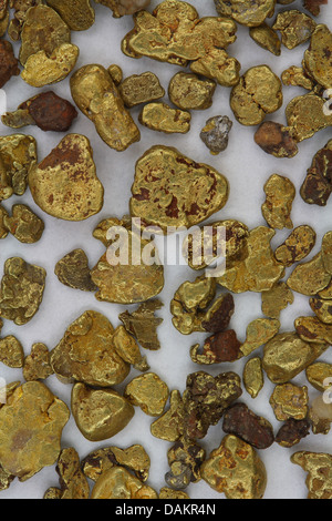 Natürliche Kalifornien (USA) Placer Gold-Nuggets - wie Sie im Stream Stockfoto