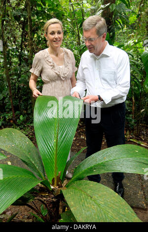 Bundespräsident Christian Wulff und seine Frau Bettina betrachten tropischen Pflanzen Sie während einer Führung durch den Regen Forst in San Jose, Costa Rica, 4. Mai 2011. Das deutsche Staatsoberhaupt bleibt in Costa Rica für einen zweitägigen Besuch vor der Reise nach Brasilien. Foto: Wolfgang Kumm Stockfoto