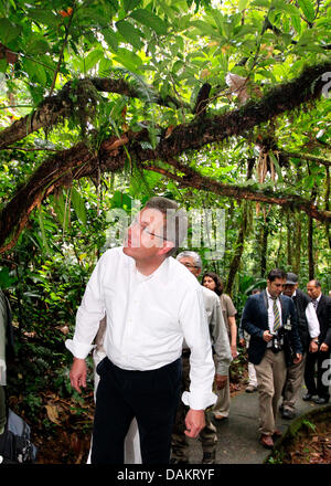 Bundespräsident Christian Wulff und seine Frau Bettina betrachten tropischen Pflanzen Sie während einer Führung durch den Regen Forst in San Jose, Costa Rica, 4. Mai 2011. Das deutsche Staatsoberhaupt bleibt in Costa Rica für einen zweitägigen Besuch vor der Reise nach Brasilien. Foto: Wolfgang Kumm Stockfoto