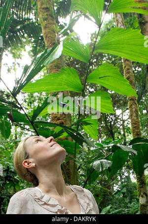 Die Frau des deutschen Bundespräsidenten Christian Wulff, Bettina Wulff, befasst sich mit tropischen Pflanzen während einer Führung durch den Regen Forst in San Jose, Costa Rica, 4. Mai 2011. Das deutsche Staatsoberhaupt bleibt in Costa Rica für einen zweitägigen Besuch vor der Reise nach Brasilien. Foto: Wolfgang Kumm Stockfoto