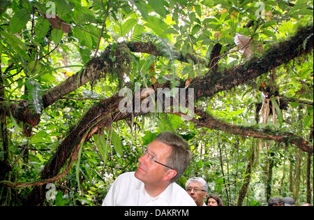 Bundespräsident Christian Wulff, befasst sich mit tropischen Pflanzen während einer Führung durch den Regen Forst in San Jose, Costa Rica, 4. Mai 2011. Das deutsche Staatsoberhaupt bleibt in Costa Rica für einen zweitägigen Besuch vor der Reise nach Brasilien. Foto: Wolfgang Kumm Stockfoto