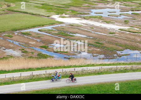 Radfahrer auf dem Weg zwischen Deich und Marsh Wiesen, Niederlande, Nationalpark Oosterschelde Stockfoto