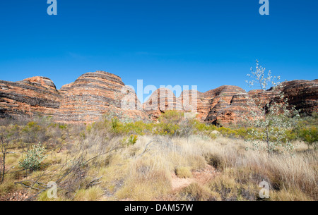 Bienenstock Sandstein Kuppeln (Bungle-Bungles) Purnululu National Park in der Kimberley-Western Australia Stockfoto