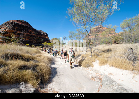 Wandern von Piccaninny Parkground Cathedral Gorge, vorbei an den Sandstein Kuppeln der Purnululu (Bungle-Bungles9 Nationalpark Stockfoto