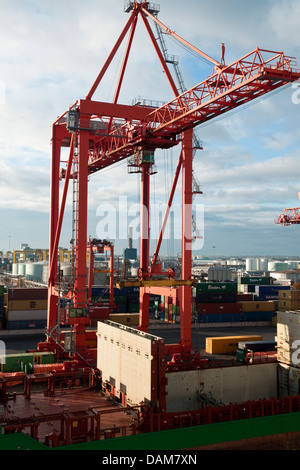 Rot lackiert Container-Kran im Hafen von Dublin, Republik Irland Stockfoto