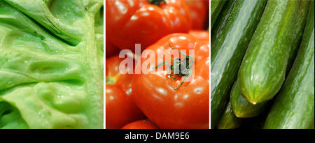 (DATEI) Ein Archivfoto vom 23. Mai 2011 zeigt eine kombinierte Foto zeigt geernteten Salat, Tomaten und Gurken in Hannover. Aggressive Darminfektion Stamm von E. Coli hat bereits 10 Menschen in Deutschland getötet und es wurden bereits mehr als 1200 Infektionen und Verdachtsfälle in Deutschland. Foto: Stratenschulte/Pleul Stockfoto