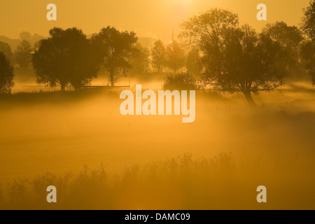 Sonnenaufgang und Nebel in der Natur Langemeersen zu reservieren, Belgien, Scheldevallei Stockfoto