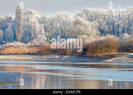 Gezeiten-Fluss Durme mit Reflexion der Schnee bedeckt, Bäumen und Schilf Fringe, Belgien Stockfoto