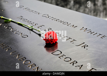 Eine einzelne rote Nelke auf die Namen am 9/11 Memorial in New York gelegt Stockfoto