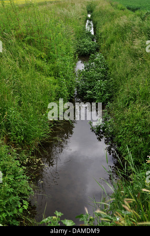 Bach durch einen Graben in einem Feld Stockfoto