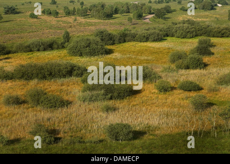 Luftbild, Heide, Belgien, De Teut, Zondhoven Stockfoto