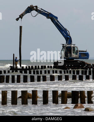 Am Strand der Ostsee sind leisten in Ostsee, Deutschland, 9. Juni 2011 gebaut. Zwanzig Leistengegend Systeme mit mehr als 1.100 leisten stabilisieren die Küste an der Ostsee-Küste in Mecklenburg-Vorpommern. 15,5 Millionen Euro sind für den Schutz des Ufers in Mecklenburg-Vorpommern pro Jahr ausgegeben. Foto: Bernd Wuestneck Stockfoto