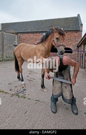 Mann Mann arbeiten am Huf des Pferdes sauber zuschneiden und Datei im Stallhof von Oak Farm Alrewas Staffordshire England Schmied Stockfoto