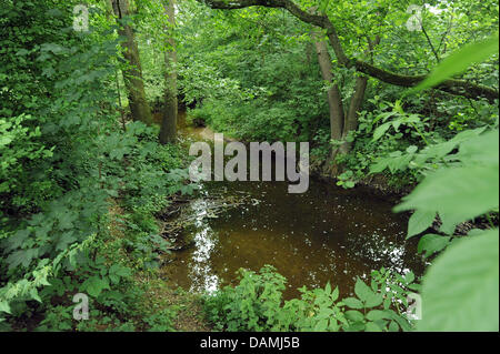 Der Erlenbach Stgream fließt durch Nieder-Erlenbach in der Nähe von Frankfurt/Main, Deutschland, 17. Juni 2011. Laut dem Umweltministerium des Landes Hessen fanden den Bakterienstamm der tödlichen 0104:H 4 in das Wasser des Baches Erlenbach. Die Erlenbach-Stream befindet sich nur wenige hundert Meter entfernt von einem Bauernhof, wo Experten die EHEC-Bakterien auf Salat gefunden hatte. Stockfoto