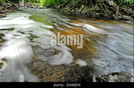 Der Erlenbach Stgream fließt durch Nieder-Erlenbach in der Nähe von Frankfurt/Main, Deutschland, 18. Juni 2011. Laut dem Umweltministerium des Landes Hessen fanden den Bakterienstamm der tödlichen 0104:H 4 in das Wasser des Baches Erlenbach. Die Erlenbach-Stream befindet sich nur wenige hundert Meter entfernt von einem Bauernhof, wo Experten die EHEC-Bakterien auf Salat gefunden hatte. Stockfoto