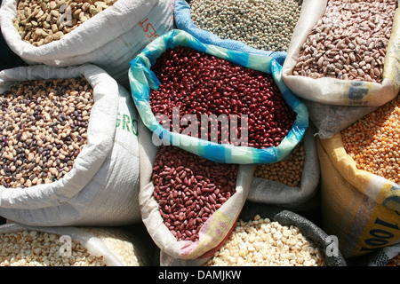 Säcke mit frischen Mais, Bohnen und Samen zum Verkauf auf dem outdoor-Food-Markt in Otavalo, Ecuador Stockfoto