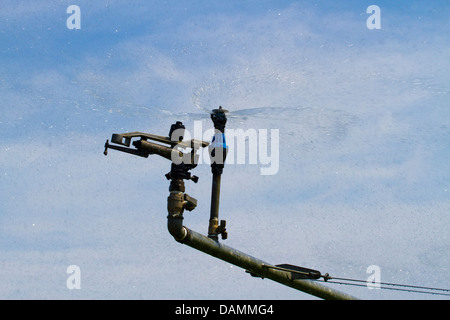 Center - pivot Bewässerung auch Wasserrad und Kreis Bewässerung, Rohrleitungen und Anlagen und Maschinen für Gemüsebau Betriebe Tarleton, Großbritannien Stockfoto