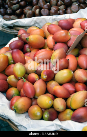 Baum Tomate, Tamarillo, Tomate de Rbol (Cyphomandra Betacea, Cyphomandra Crassicaulis), Baum-Tomaten in eine Schüssel Stockfoto