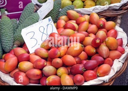 Baum Tomate, Tamarillo, Tomate de Rbol (Cyphomandra Betacea, Cyphomandra Crassicaulis), Baum-Tomaten in eine Schüssel Stockfoto