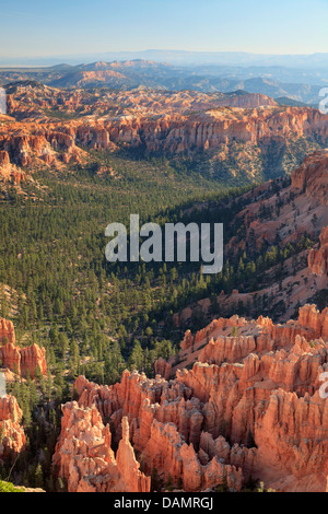 USA, Utah, Bryce Canyon National Park, Bryce Point Stockfoto