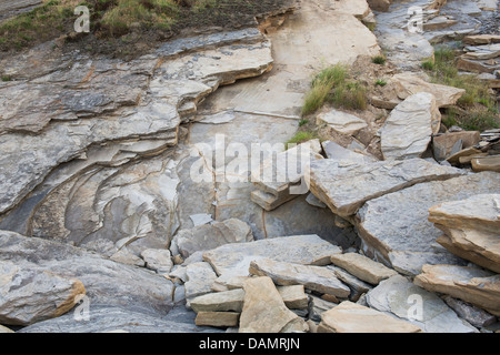 Sandstein-Fels-Klippe-Erosion. Northumberland Küste, England Stockfoto