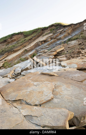 Sandstein-Fels-Klippe-Erosion. Northumberland Küste, England Stockfoto