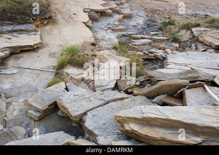 Sandstein-Fels-Klippe-Erosion. Northumberland Küste, England Stockfoto