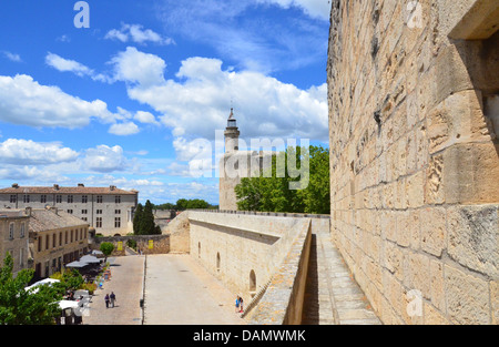 Aigues-Mortes ist eine französische Gemeinde im Département Gard in der Region Occitanie in Südfrankreich. Stockfoto